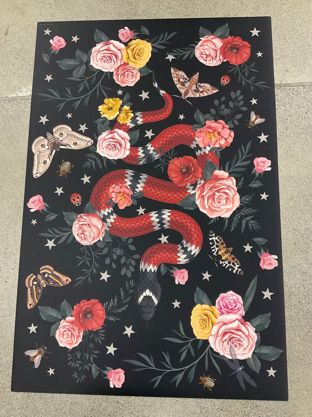 Indoor/outdoor French Rug - Door Mat